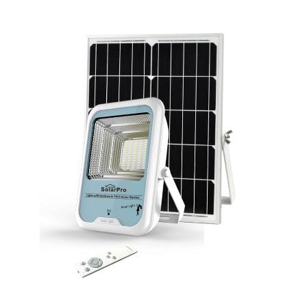 SolarPro Road Light